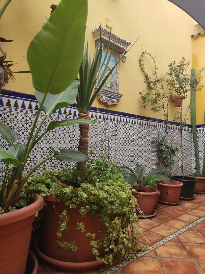 Dormir En Cadiz Guest House